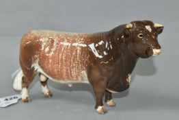 A BESWICK DAIRY SHORTHORN BULL, model no 1504 (1) (Condition Report: appears in good condition