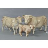 THREE BESWICK FIGURES OF CHAROLAIS CATTLE, comprising Charolais Bull model no 2463A, Charolais Cow