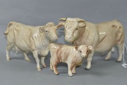 THREE BESWICK FIGURES OF CHAROLAIS CATTLE, comprising Charolais Bull model no 2463A, Charolais Cow