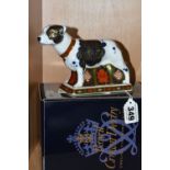 A BOXED ROYAL CROWN DERBY 'IMARI STAFFORDSHIRE BULL TERRIER' LIMITED EDITION PAPERWEIGHT, with