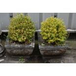 A PAIR OF SQUARE COMPOSIDE GARDEN PLANTERS, 35cm squared x height 25cm (condition - slight chips,