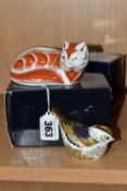 TWO BOXED ROYAL CROWN DERBY PAPERWEIGHTS, comprising Red Fox and Firecrest, both having gold