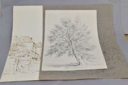 CIRCLE OF ALEXANDER MONROE (1802-1844) THREE SKETCHES, comprising a pencil study of a Beech tree
