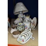 A GROUP OF POOLE POTTERY, comprising a Traditional Ware Bluebird table lamp, preserve/jam pot and