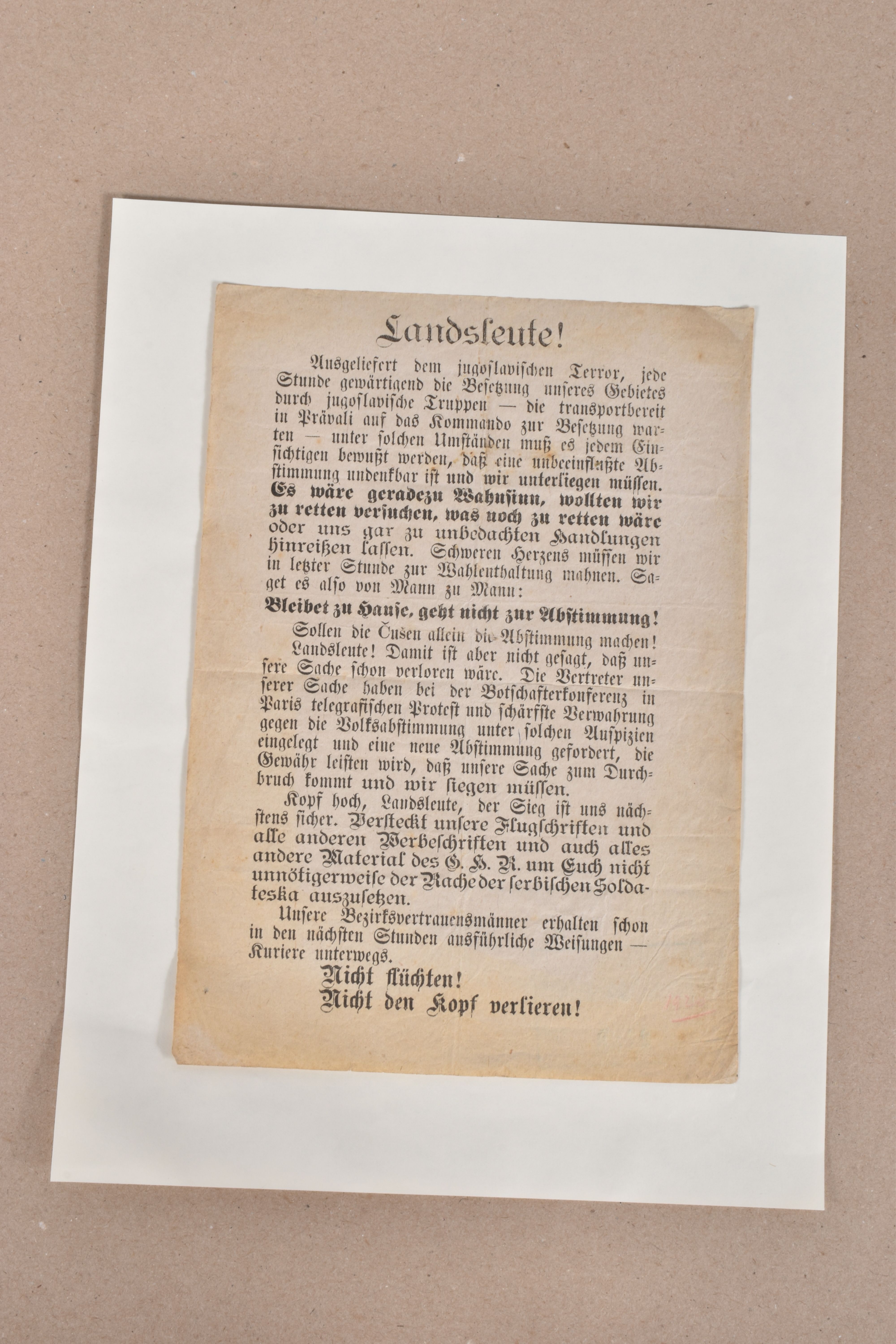 THREE POST WWI PROPAGANDA LEAFLETS FROM THE AUSTRIAN PROVINCE OF KARNTEN, these leaflets are from - Image 3 of 11