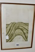 MARILYN WEB (NEW ZEALAND 1937-2021) A LIMITED EDITION ETCHING DEPICTING A LANDSCAPE, signed and