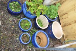 A COLLECTION OF EIGHT BLUE GLAZED PLANT POTS the largest being 38cm in diameter and 34cm high