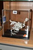 A PERSPEX DISPLAY CASE CONTAINING THE SKELETON A CHICKEN, on an ebonised stand, height 23cm x