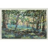 TIMMY MALLETT (BRITISH CONTEMPORARY) 'Bluebell Shadows', limited edition box canvas print of a