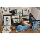 A QUANTITY OF BOTANICAL AND ORNITHOLOGY PRINTS, to include a signed Christopher Brown 'Oyster
