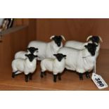 A FLOCK OF SIX BESWICK SHEEP, comprising three gloss 'Black Faced Sheep' and three gloss 'Black