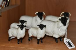A FLOCK OF SIX BESWICK SHEEP, comprising three gloss 'Black Faced Sheep' and three gloss 'Black