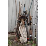 A SELECTION OF GARDEN TOOLS including a set of hickory and brass chimney brushes, rakes, forks,