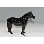 A BESWICK BLACK GLOSS MODEL OF A FELL PONY, model no. 1647, printed marks to underside of hooves (