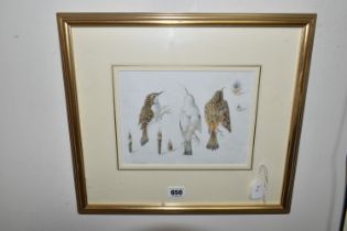 MILDRED E. ELDRIDGE RWS (1909-1991) 'TREECREEPER', three studies of a bird and feathers, signed,