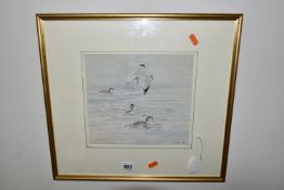 JOHN PHILIP BUSBY (1928-2015) 'SLAVONIAN GREBES, GULL ANDGREAT NORTHERN DIVER', four seabirds and