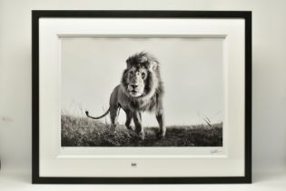 ANUP SHAH (KENYA CONTEMPORARY) 'HUNTER', a signed limited edition photographic print of a lion, 15/