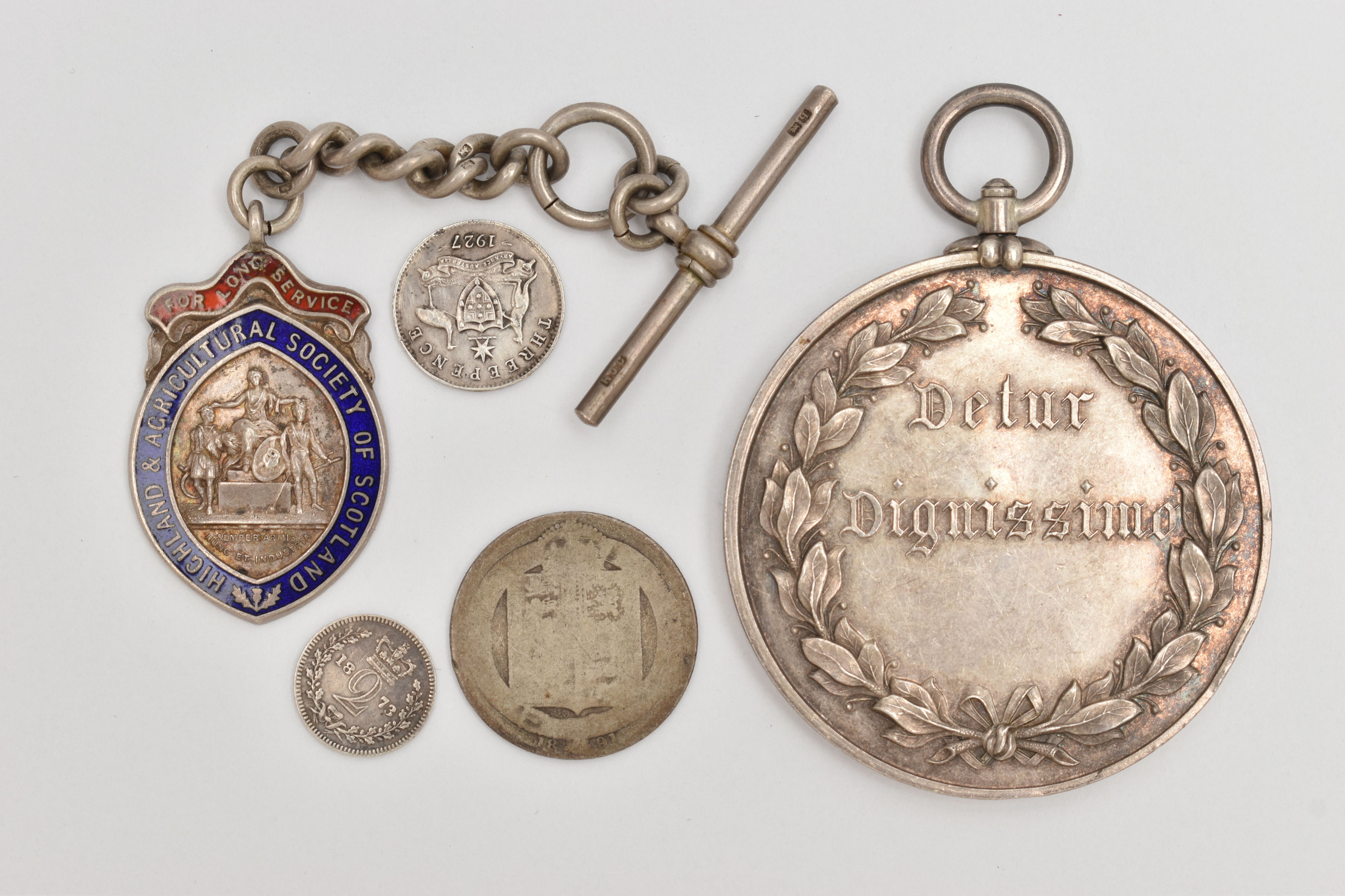 MEDALLION, FOB MEDAL AND COINS, to include a large white metal medallion 'Detur Dignissimo' reads '