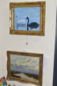 P CROMACK (BRITISH LATE 20TH / 21ST CENTURY) BLACK AND WHITE SWANS ON THE WATER, oil on canvas,