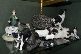 A COLLECTION OF SHEEP AND SHEEPDOG THEMED ORNAMENTS, to include a Border Fine Arts Border Collie