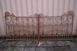 A PAINTED WROUGHT IRON GATE, with scrolled details, each gate length 139cm x height 124cm (
