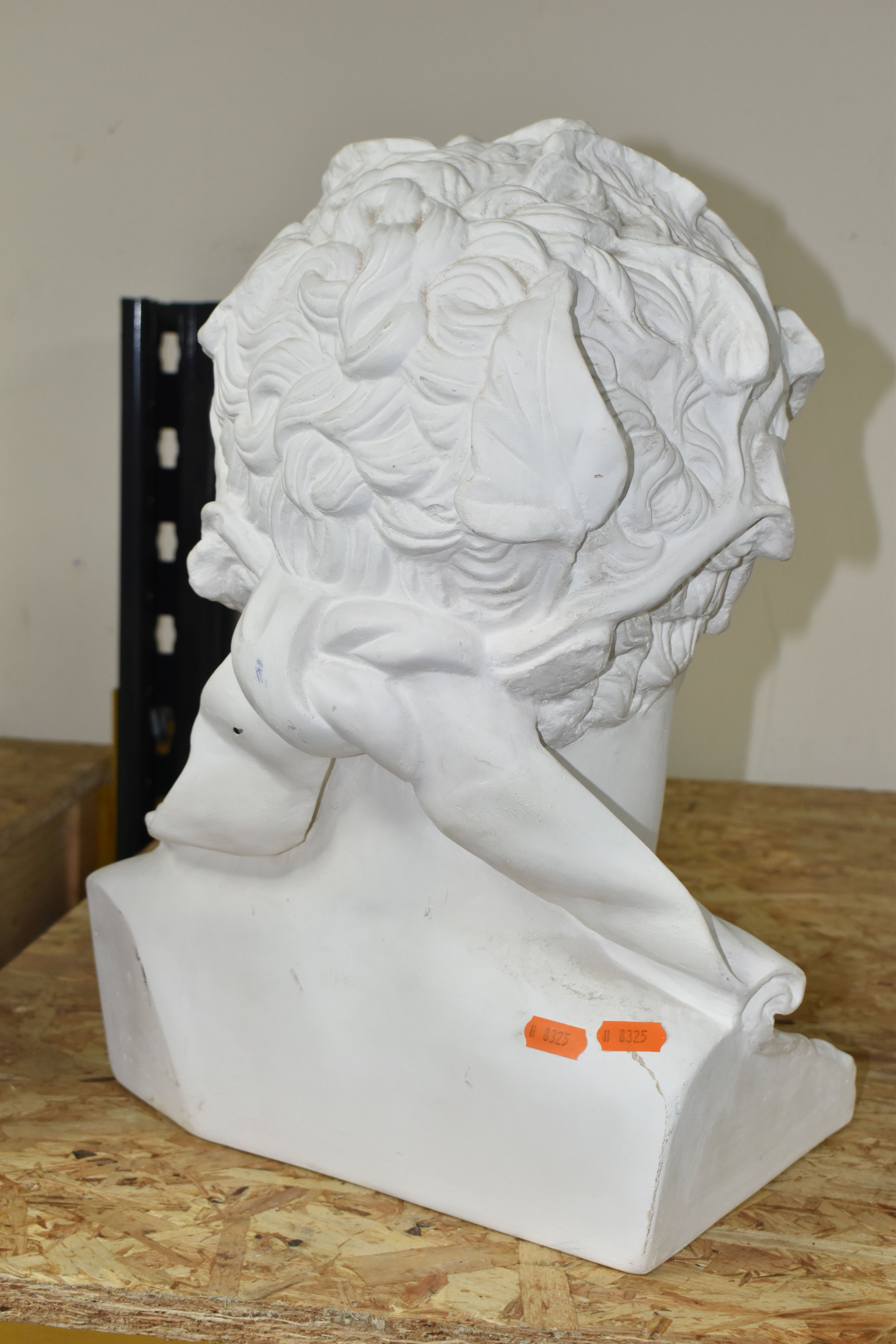 A LARGE NEO-CLASSICAL WHITE PLASTER BUST, possibly Octavian Augustus, impressed marks to base 'The - Image 4 of 4