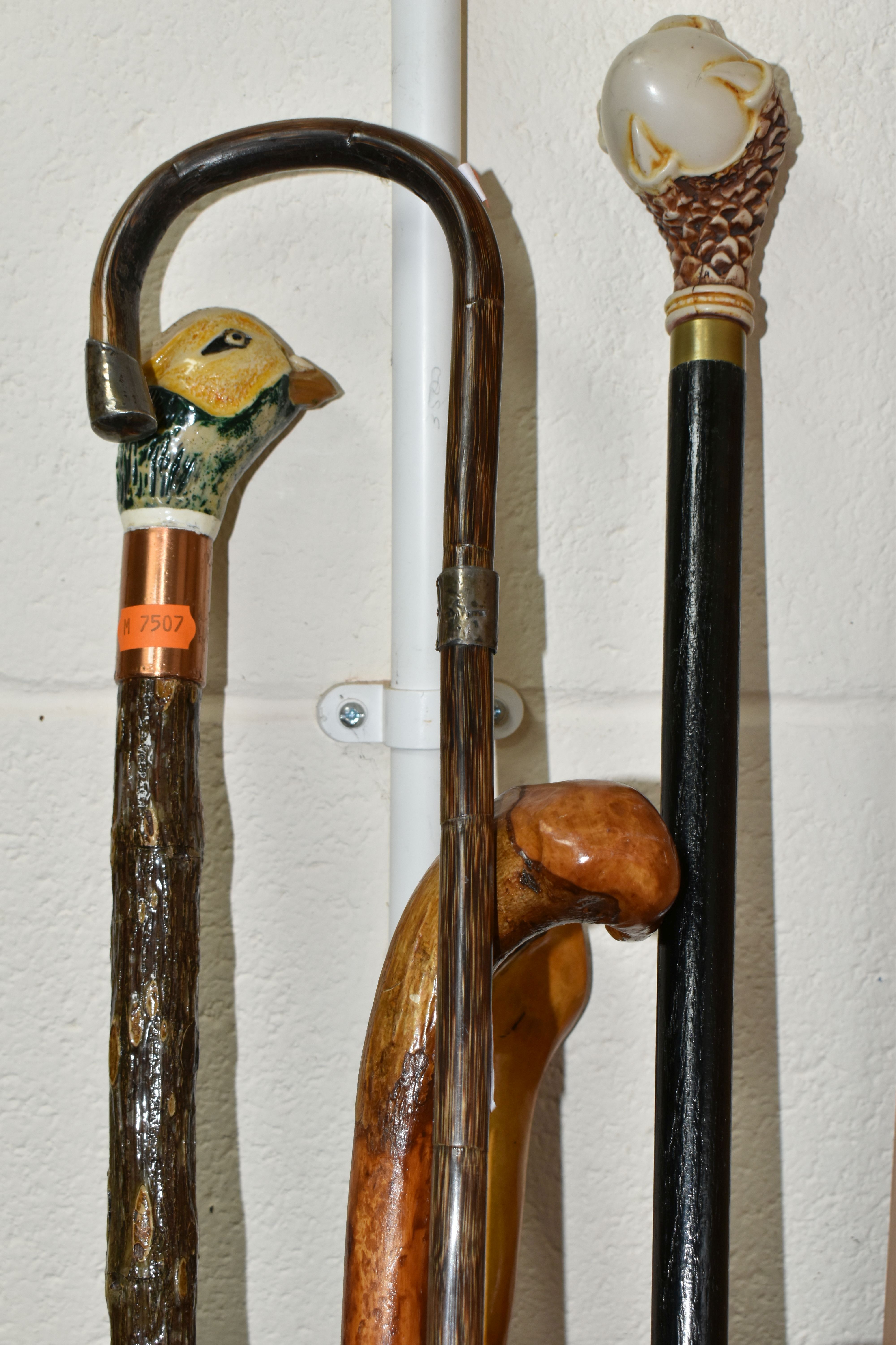 A QUANTITY OF NATURAL WOOD WALKING STICKS AND STAFF, comprising twenty two sticks, one with a - Image 3 of 4