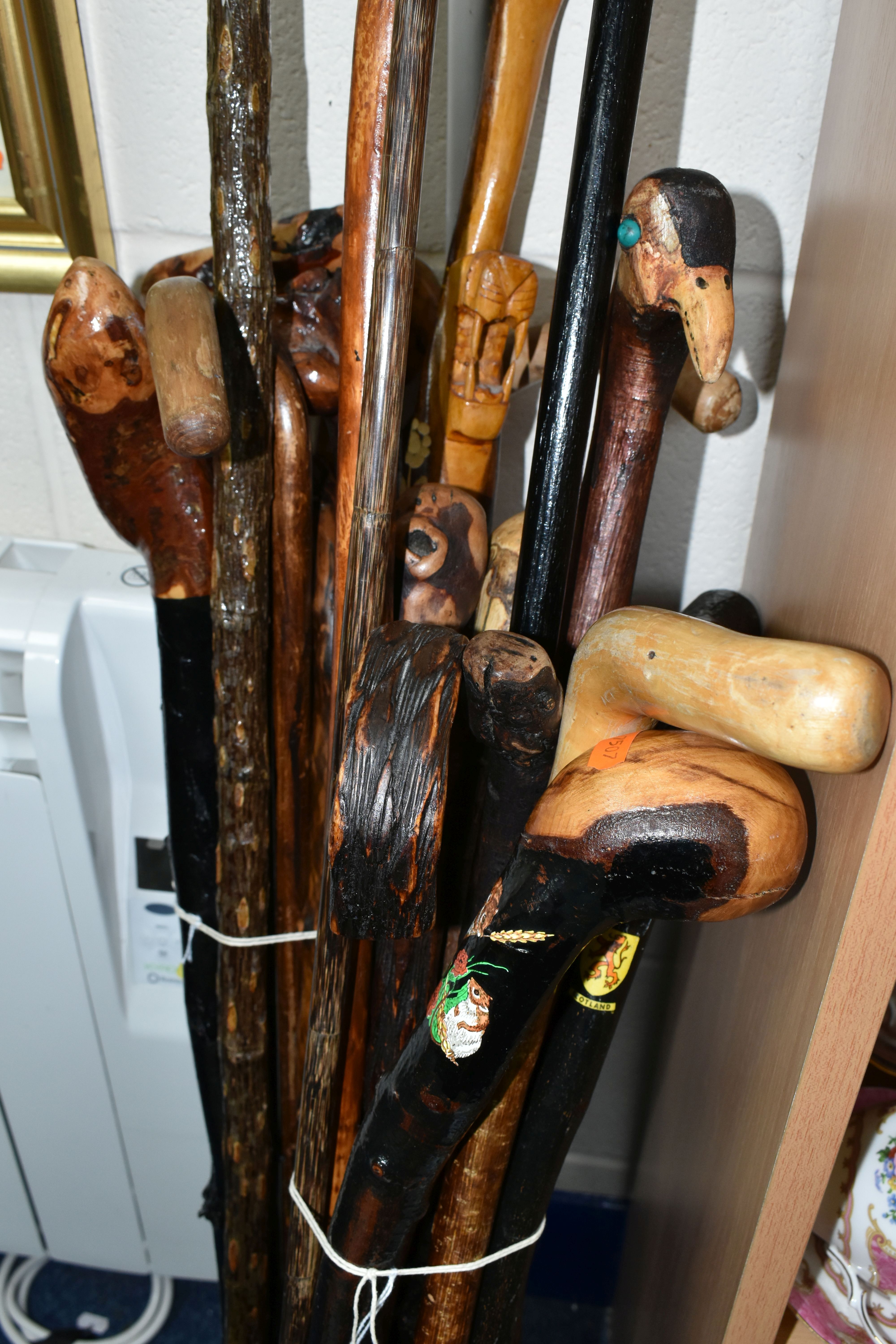 A QUANTITY OF NATURAL WOOD WALKING STICKS AND STAFF, comprising twenty two sticks, one with a - Image 4 of 4