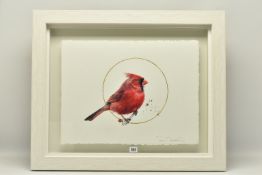 SARAH STOKES (BRITISH CONTEMPORARY) 'GILDED MALE CARDINAL', a study of a red bird on a branch,