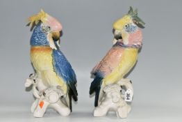 TWO KARL ENS PORCELAIN COCKATOOS, each modelled perched on a branch, and glazed in pastel pinks,