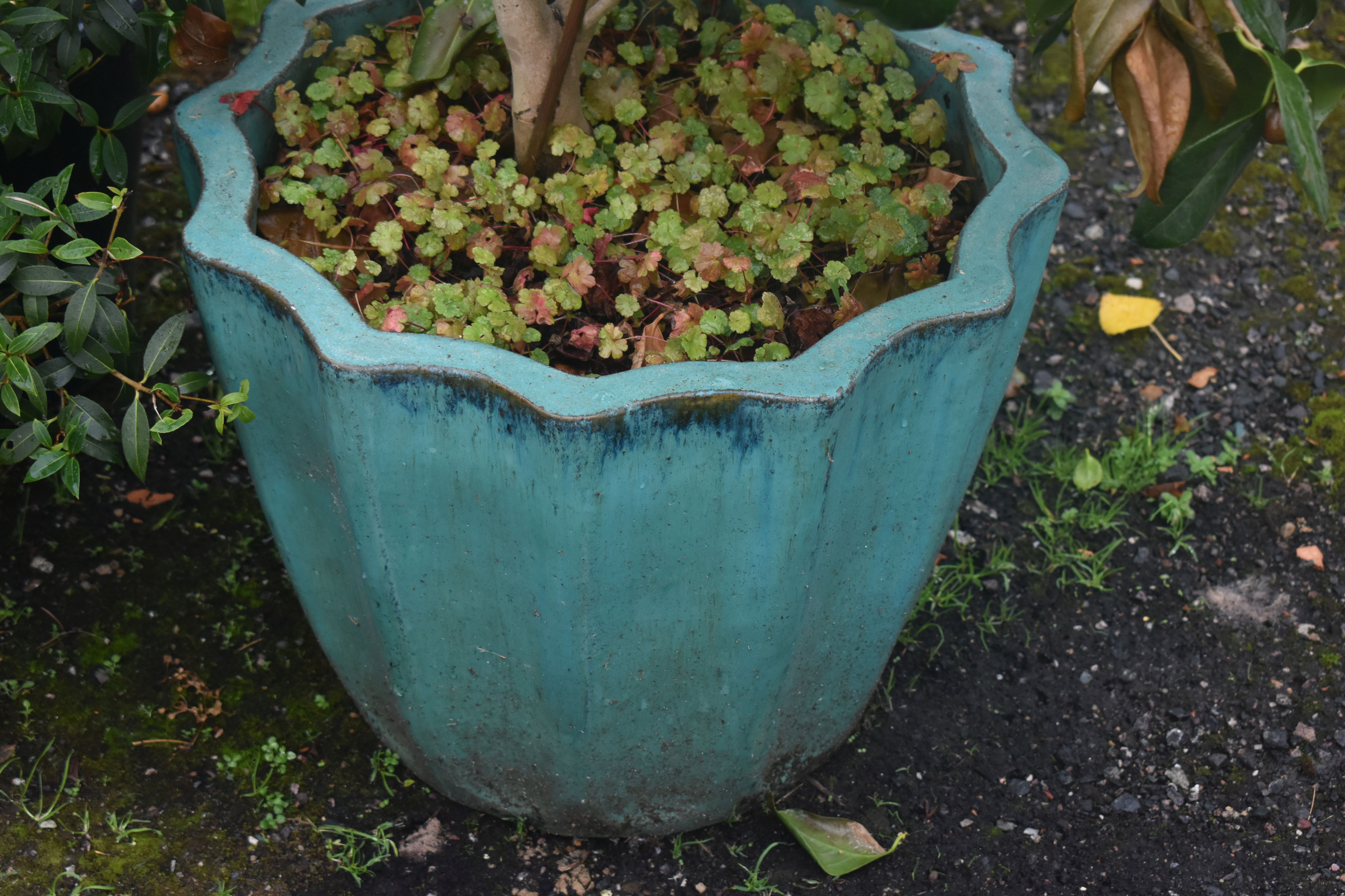 FIVE VARIOUS GLAZED GARDEN PLANT POTS, to include a teal plant pot with shaped edges, diameter - Image 2 of 3