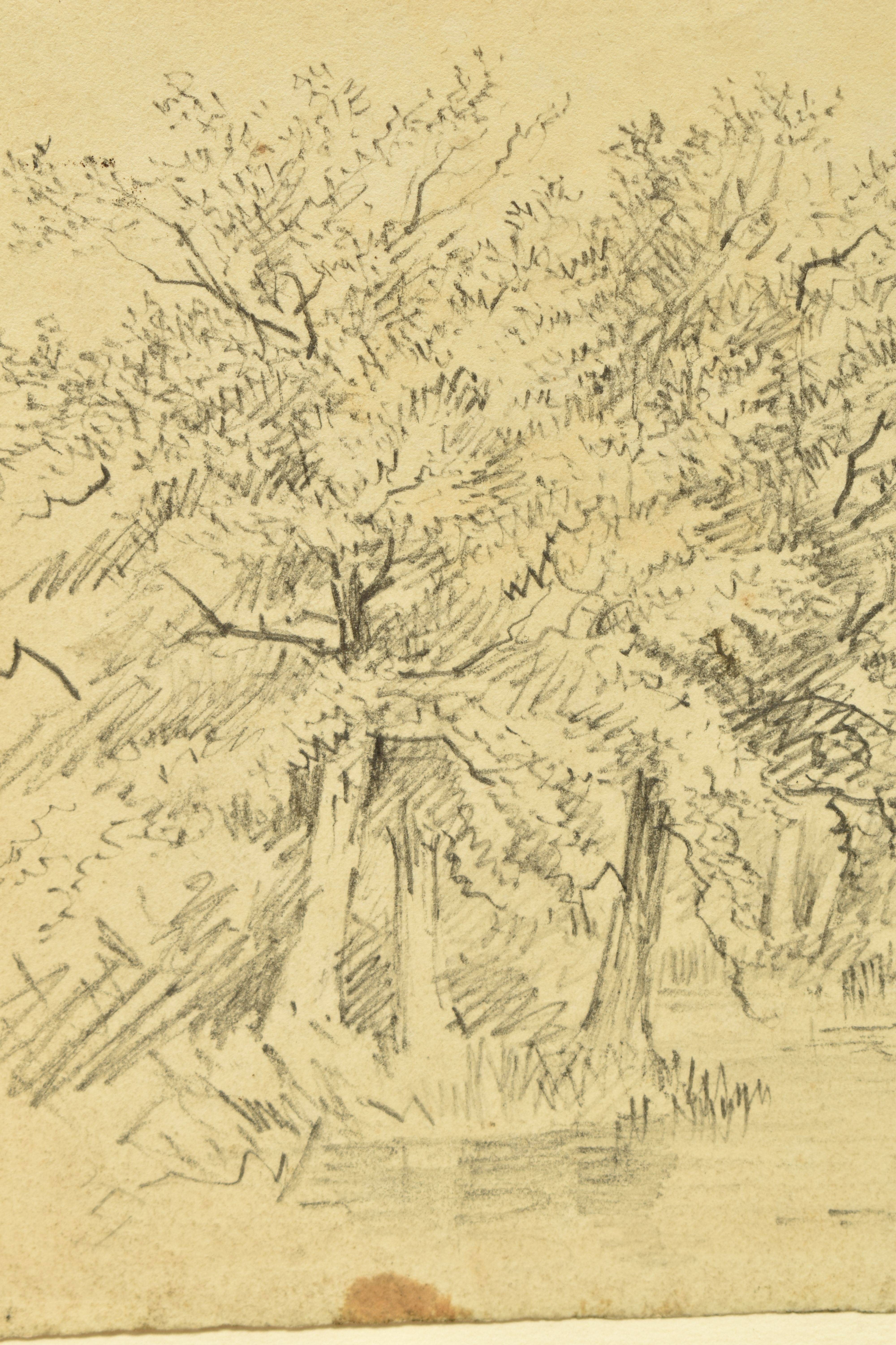 CIRCLE OF PATRICK NASMYTH (1787-1831) TREES ON A RIVERBANK, unsigned pencil on paper, approximate - Image 4 of 5