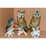 THREE KARL ENS BIRD FIGURINES, comprising a barn owl, an eagle owl and Kingfisher (3) (Condition