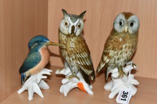 THREE KARL ENS BIRD FIGURINES, comprising a barn owl, an eagle owl and Kingfisher (3) (Condition