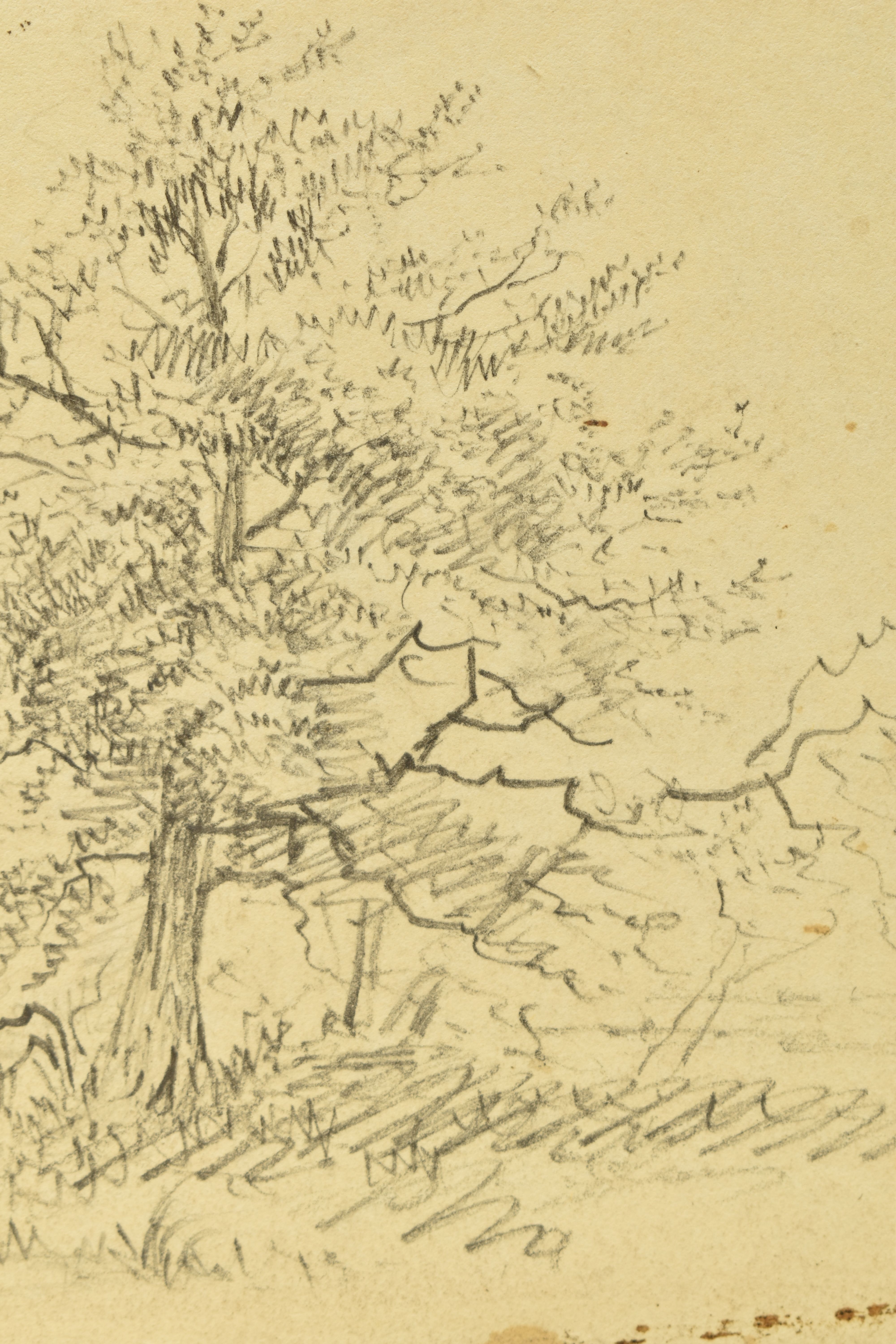 CIRCLE OF PATRICK NASMYTH (1787-1831) TREES ON A RIVERBANK, unsigned pencil on paper, approximate - Image 3 of 5