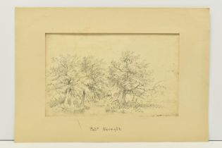 CIRCLE OF PATRICK NASMYTH (1787-1831) TREES ON A RIVERBANK, unsigned pencil on paper, approximate