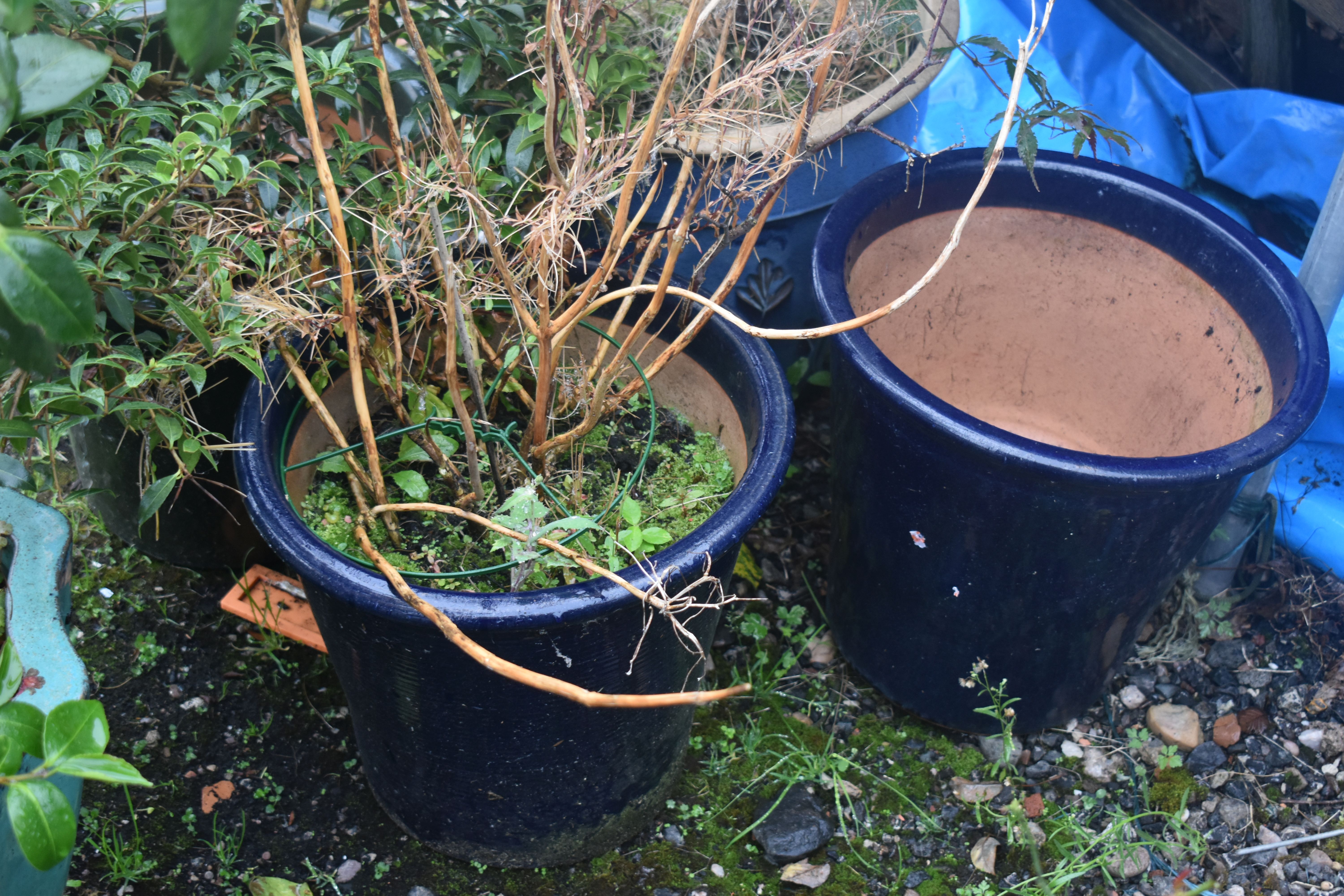 FIVE VARIOUS GLAZED GARDEN PLANT POTS, to include a teal plant pot with shaped edges, diameter - Image 3 of 3