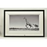 ANUP SHAH (KENYAN CONTEMPORARY) 'DANCE', a signed limited edition photographic print depicting a