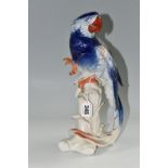 A KARL ENS PORCELAIN 'MACAW' FIGURE, perched on top of a branch, blue and red gilt decoration,