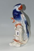 A KARL ENS PORCELAIN 'MACAW' FIGURE, perched on top of a branch, blue and red gilt decoration,