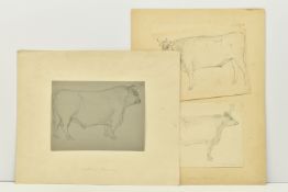 CIRCLE OF WILLIAM HARVEY (1796-1866) FOUR SKETCHES OF CATTLE, to include a Hereford Bull, one sketch