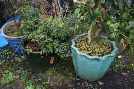 FIVE VARIOUS GLAZED GARDEN PLANT POTS, to include a teal plant pot with shaped edges, diameter