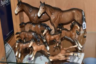 TWO BESWICK HORSES AND SEVEN BESWICK FOALS, ALL BROWN GLOSS, comprising two Bois Roussel