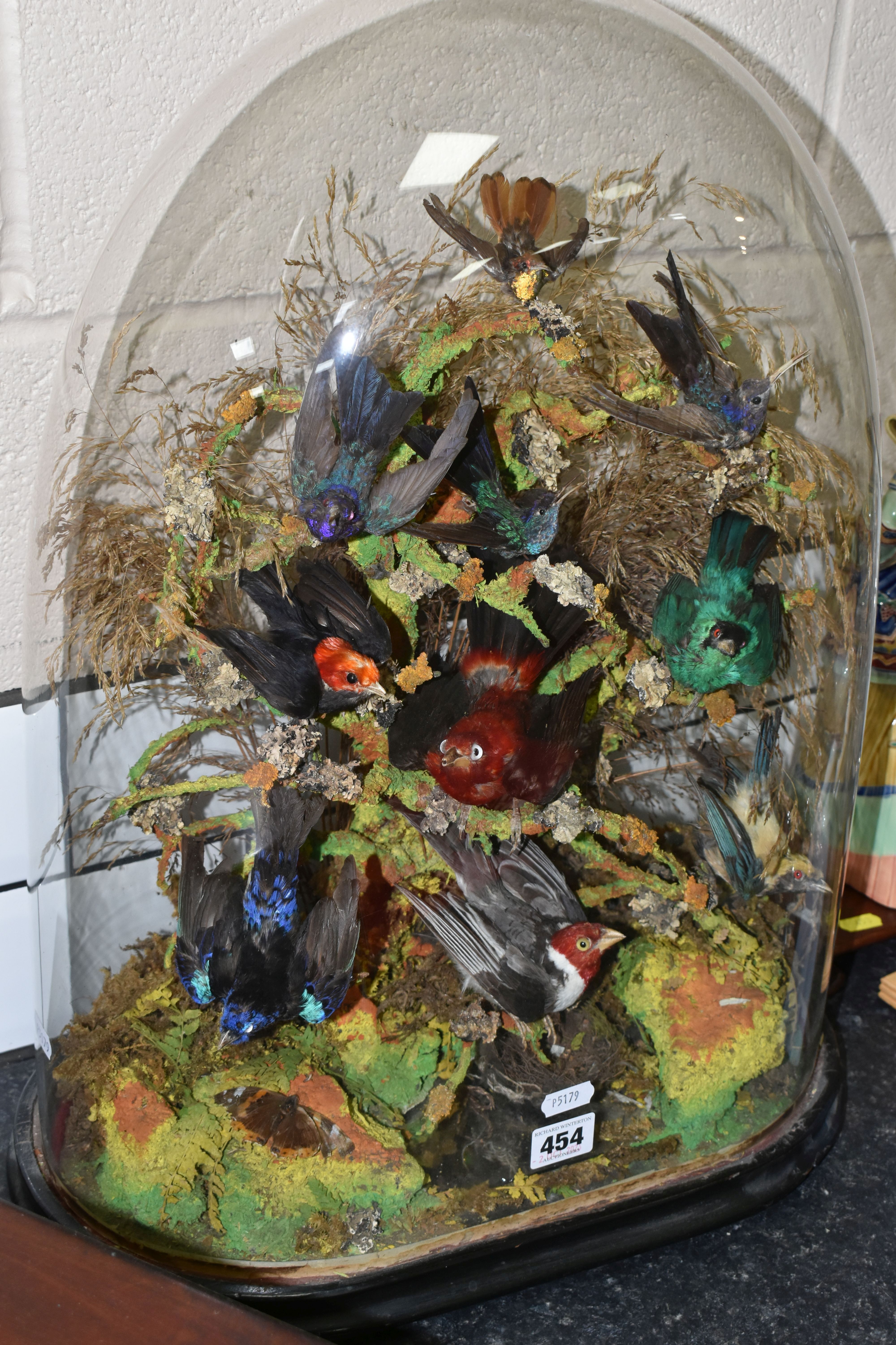 TAXIDERMY: A VICTORIAN GLASS DOME OF HUMMINGBIRDS AND OTHER EXOTIC BIRDS, approximate height 55cm - Image 3 of 7