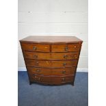 A GEORGIAN MAHOGANY BOWFRONT CHEST OF TWO SHORT OVER FOUR LONG GRADUATED DRAWERS, with circular