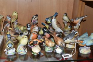 A LARGE QUANTITY OF ROYAL WORCESTER BIRDS, comprising matt glazed 3235 Kingfisher, 3234 Thrush, 3376