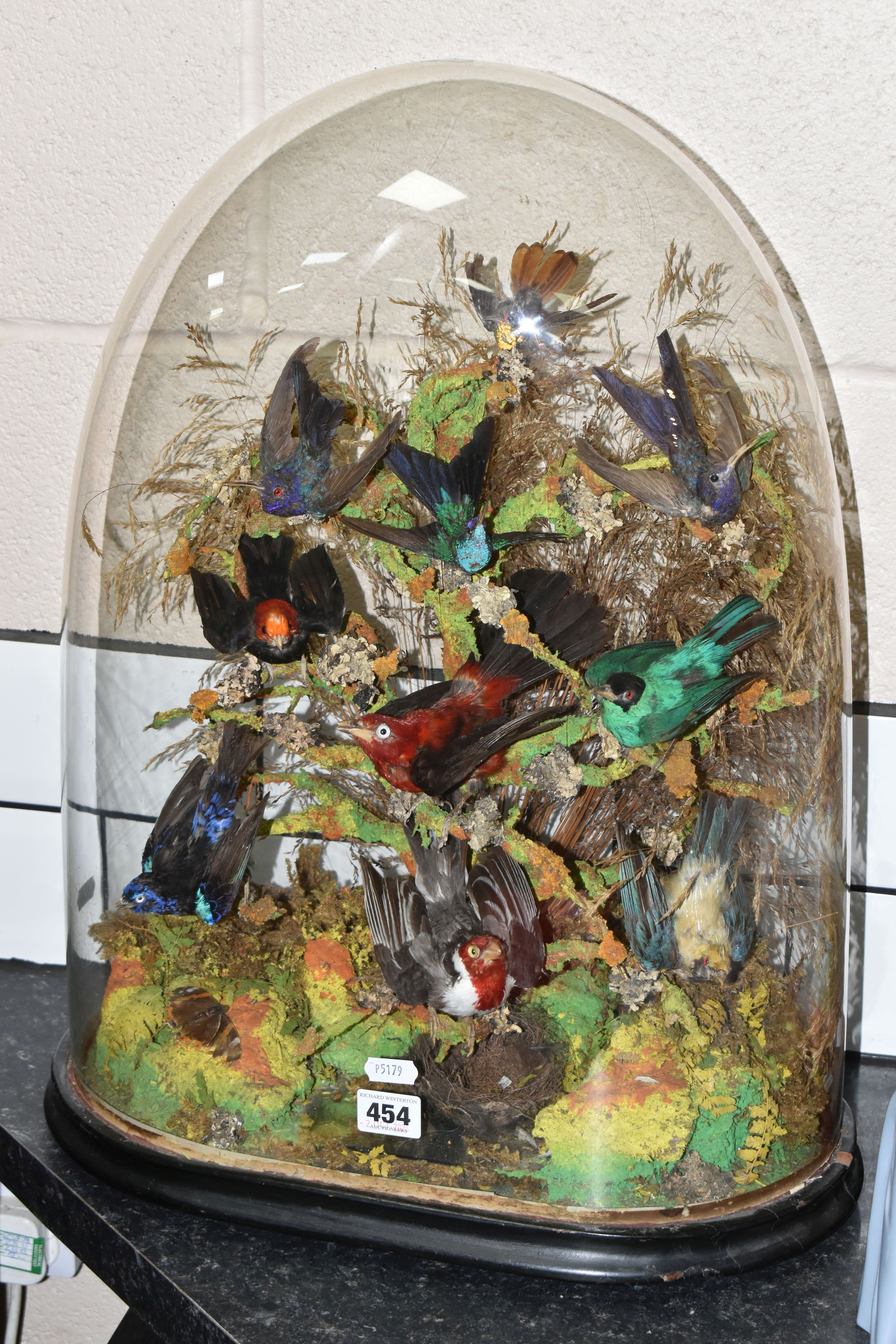 TAXIDERMY: A VICTORIAN GLASS DOME OF HUMMINGBIRDS AND OTHER EXOTIC BIRDS, approximate height 55cm