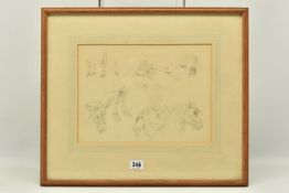 CIRCLE OF ROBERT HILLS (1796-1844), ELEVEN STUDIES OF ANIMALS ON ONE SHEET, no visible signature,
