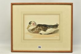 EDWARD THOMPSON DAVIS (1833-1867) 'MALLARD', a study of a duck with bloodied feathers to its head,