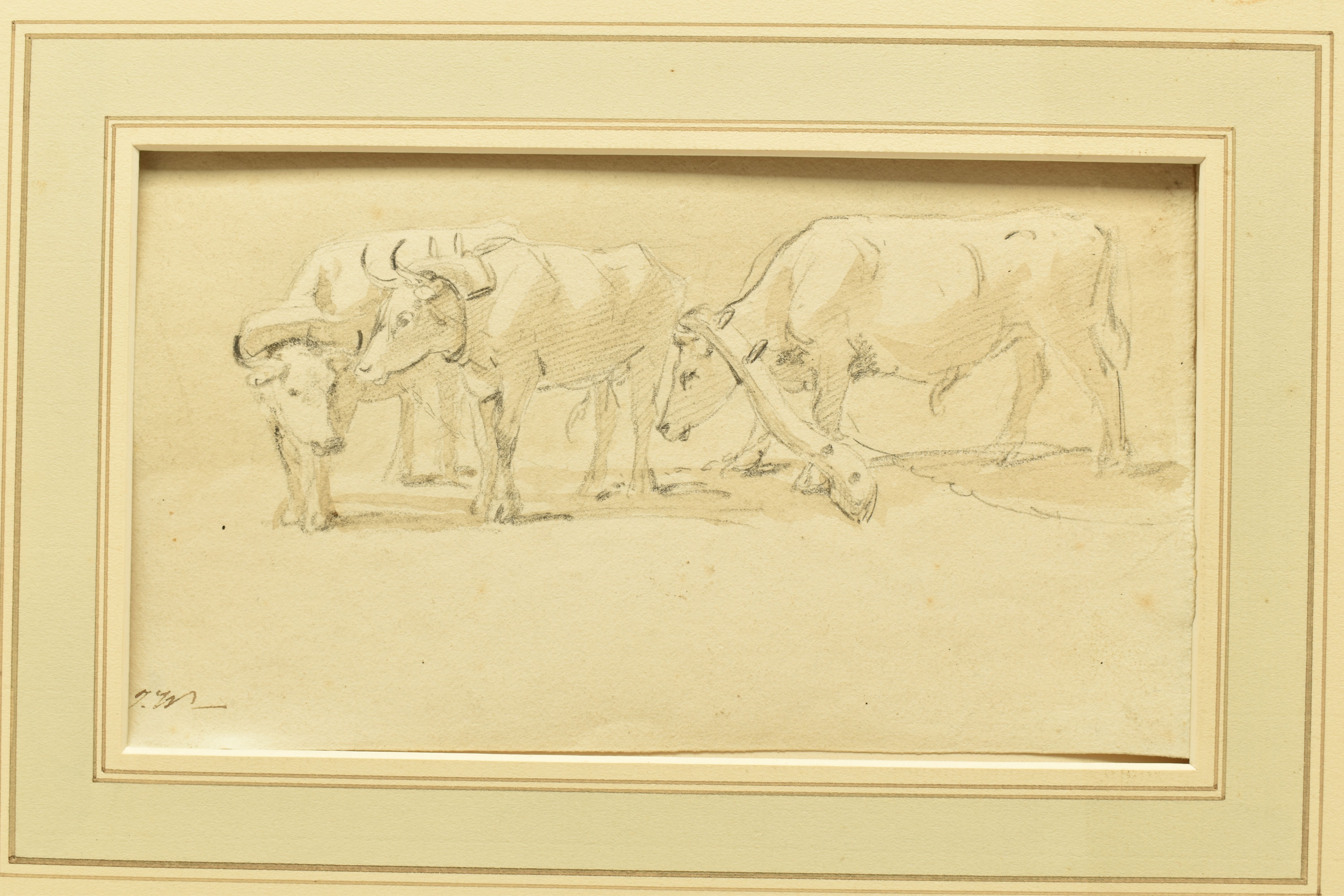 JAMES WARD (1769-1859) DRAUGHT OXEN, a study of oxen wearing yokes, initialled bottom right, - Image 2 of 5